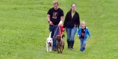 Family walking dogs.