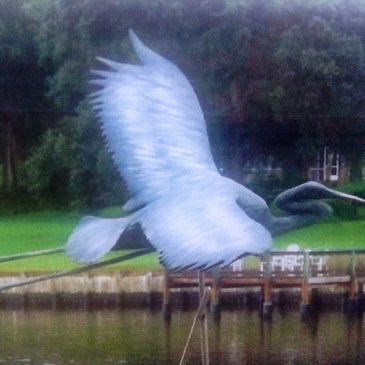 Blue Heron in Flight