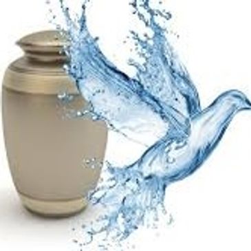 Water in the shape of a dove, near an urn.