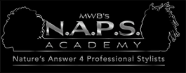 mwbsnapsacademy.com