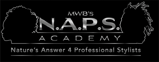 mwbsnapsacademy.com