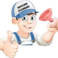 Theperfectplumbers.com