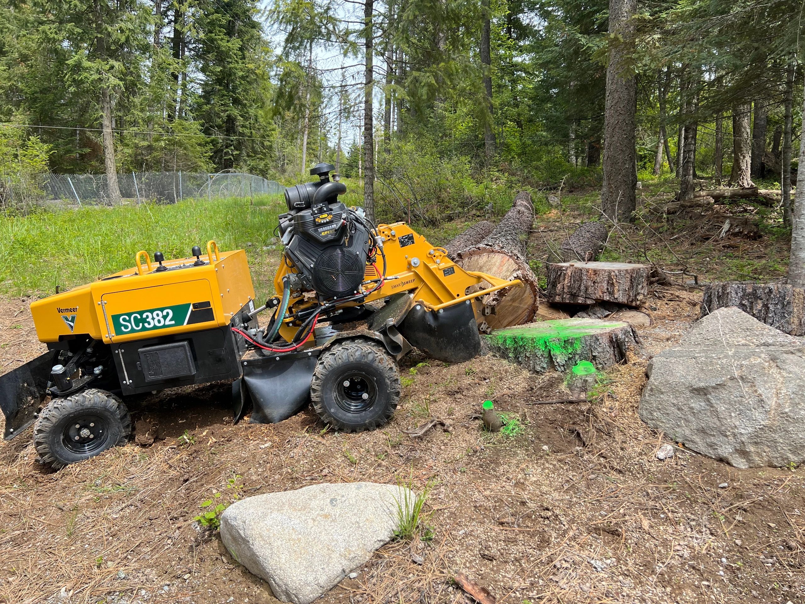 Stump Grinder Hire - Professional Tree Services
