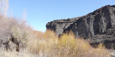 Rocky cliff with dry bushes under a clear blue sky.