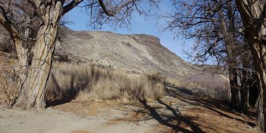 A dirt path between two trees leads to a rocky hill under a clear blue sky.