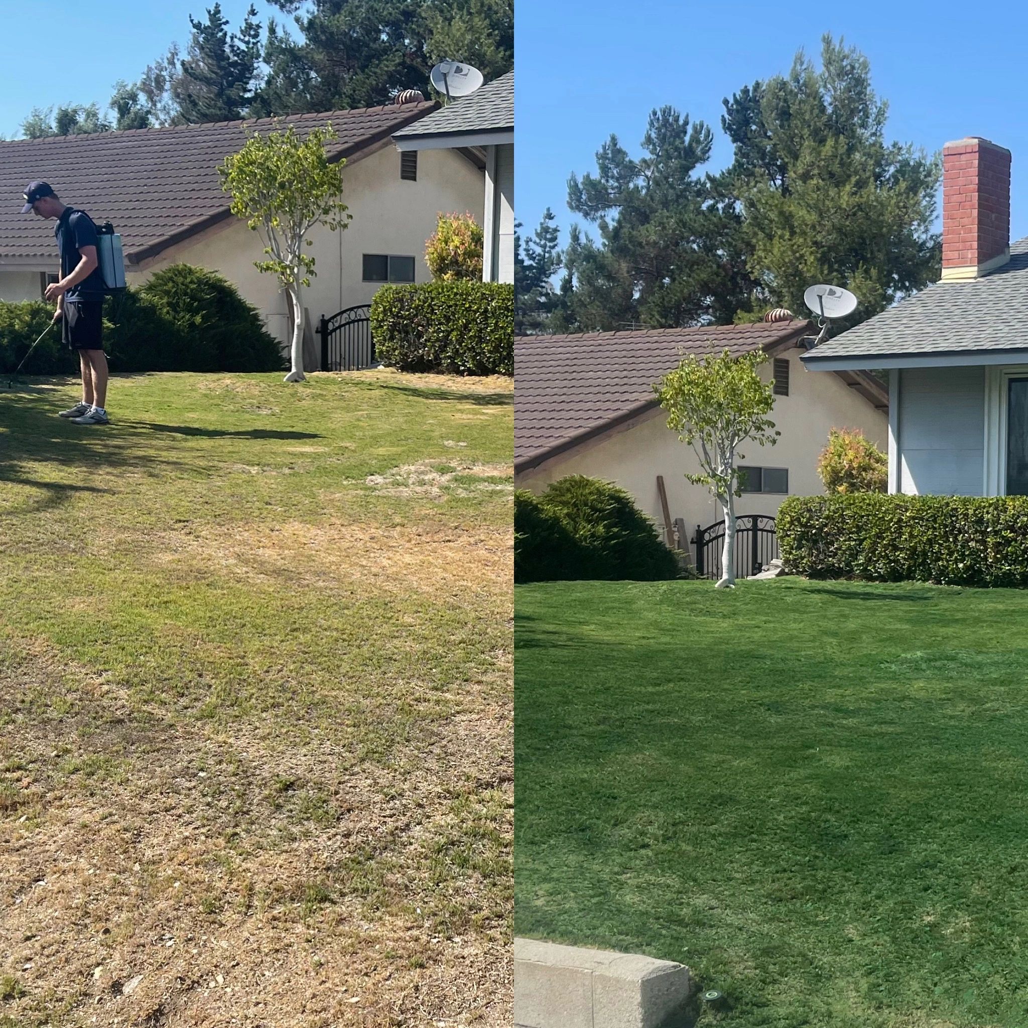 Lawn Painting AEY Lawns