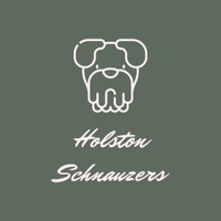 Holston Schnauzers