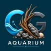  CG Aquariums