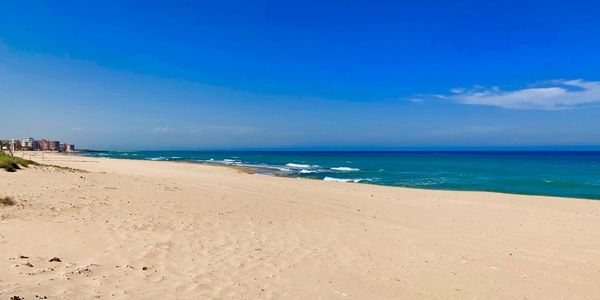 Beach picture.