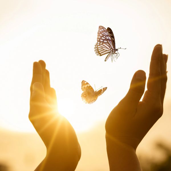 two butterflies and hands around them 