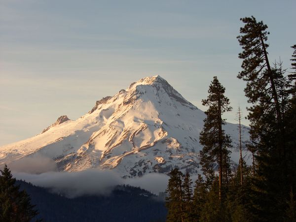 Snow-covered mountain peak with trees in the foreground.