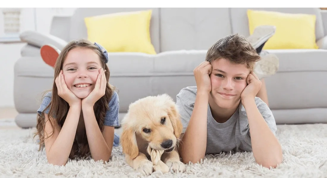 Nationwide Carpet Cleaning of Jupiter, FL Carpet Cleaning Services