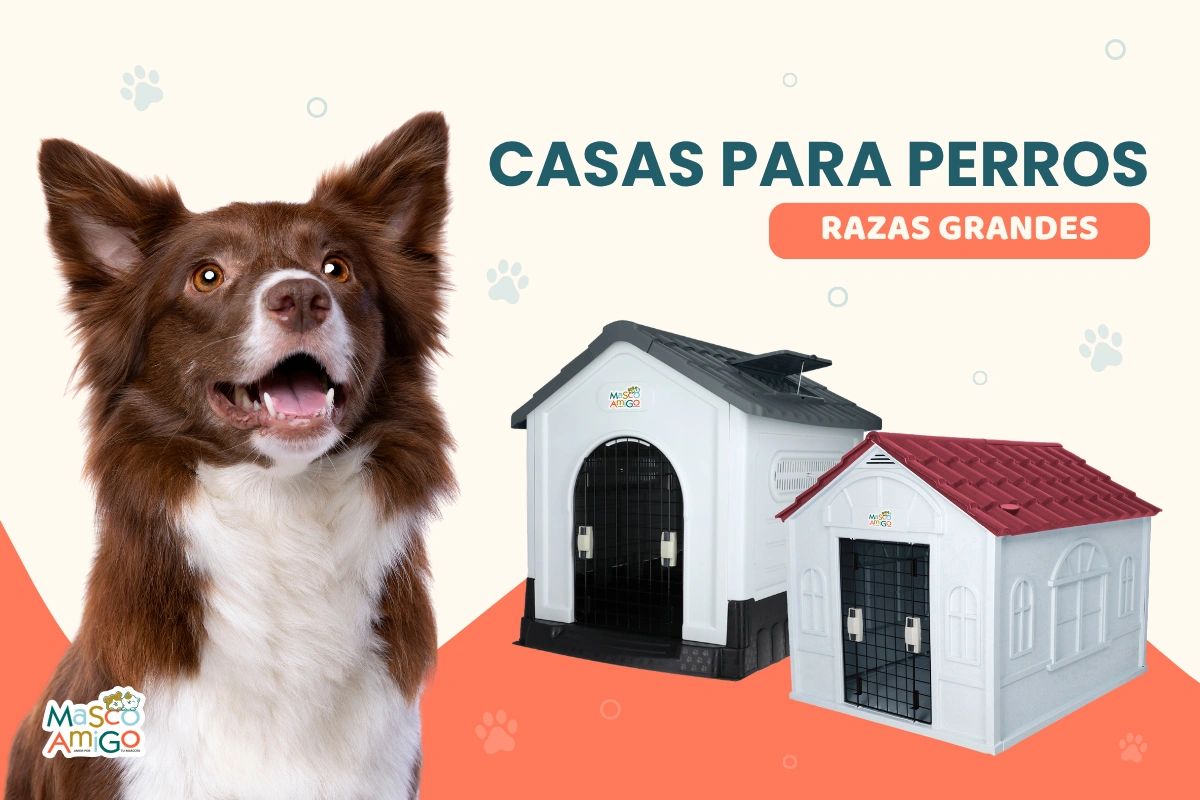 Casas para perros de razas grandes con diseño resistente y cómodo.