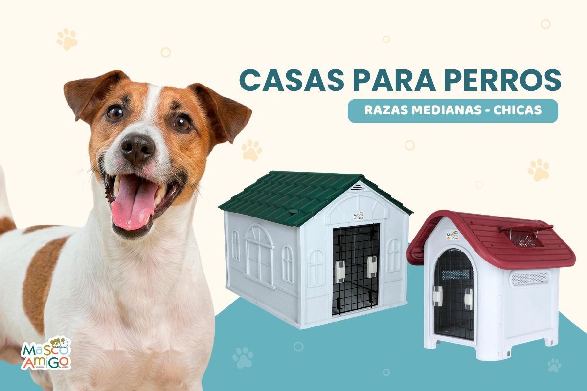 Casas para perros medianos y chicos con diseño moderno y seguro.