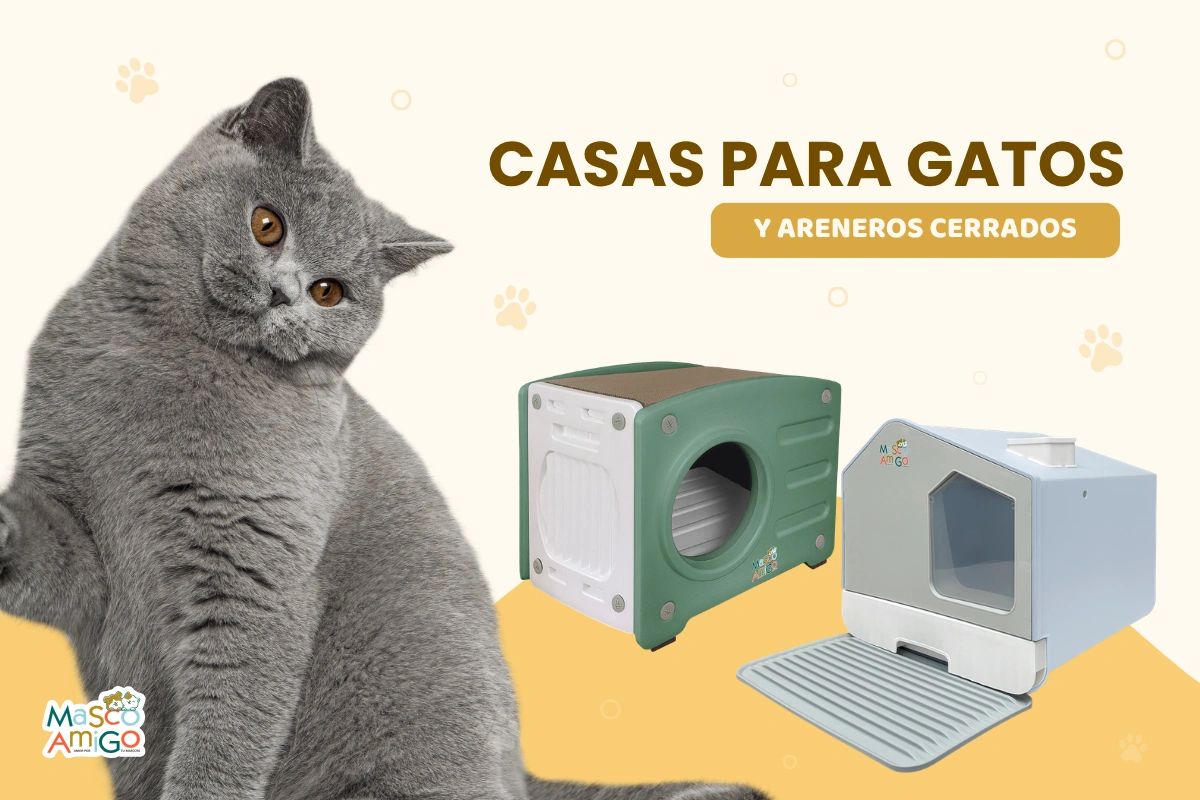 Casas modernas para gatos con areneros cerrados, comodidad y estilo.