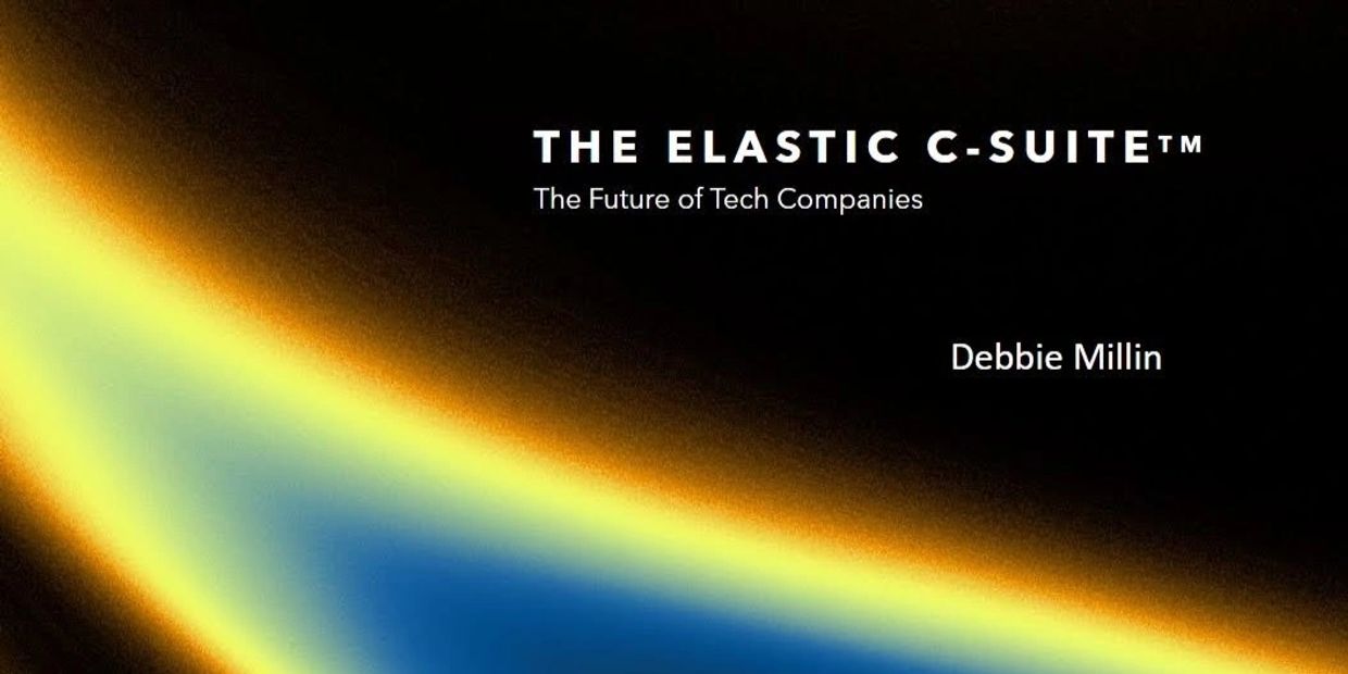 Book cover of The Elastic C-Suite by Debbie Millin.