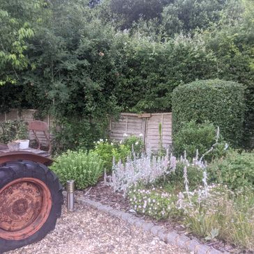 Rusty tractor next to a garden with flowers and trimmed bushes.