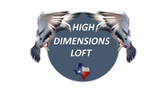 High Dimensions Loft