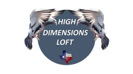 High Dimensions Loft