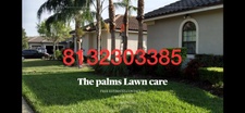 The palms lawn care