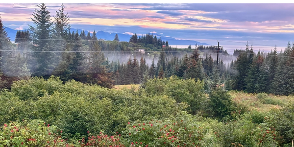 A misty forest landscape with colorful flowers and distant mountains at sunset.