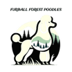 Furball Forest Poodles