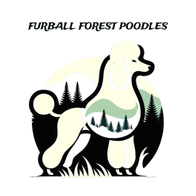 Furball Forest Poodles