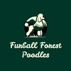 Furball Forest Poodles