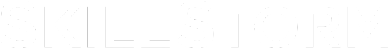 Logo featuring the word SkillStorm in bold letters.