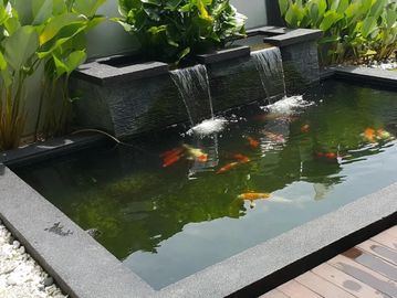 a pond with water fountain