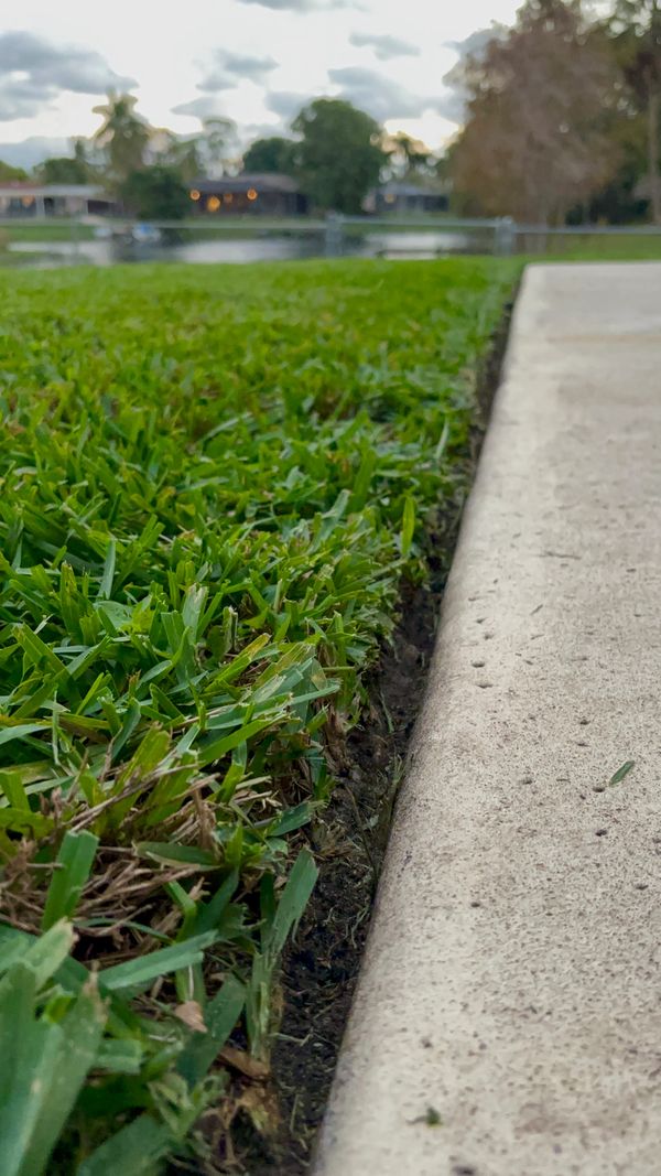 Close-up of freshly edged grass along a concrete pathway at dusk.