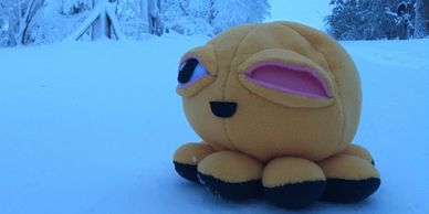 Snowy scene with yellow ocular octopus with one eye. 