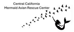 ccmermaidavianrescuecenter.org