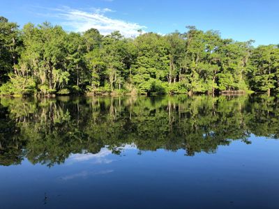 Calm river reflecting dense green trees under a clear blue sky.