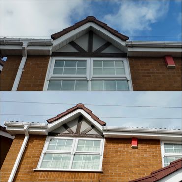 Gutter, fascia and soffit cleaning service