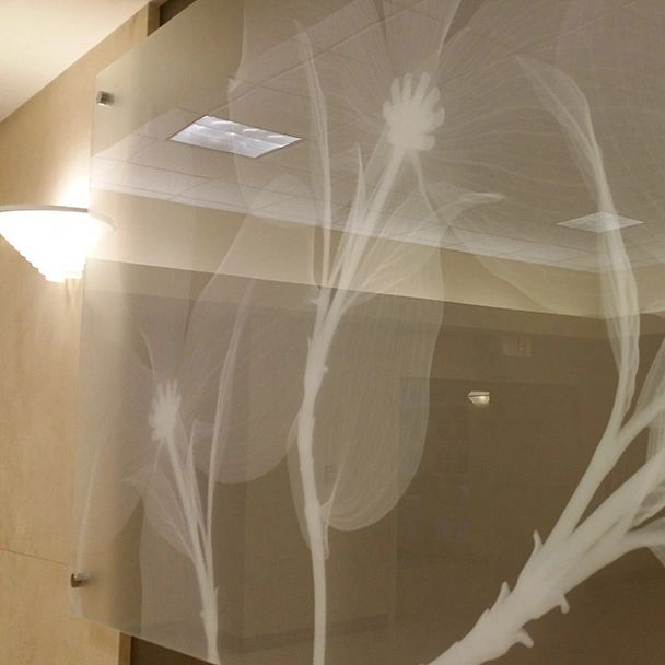 Translucent floral patterns on sheer fabric in a softly lit room.