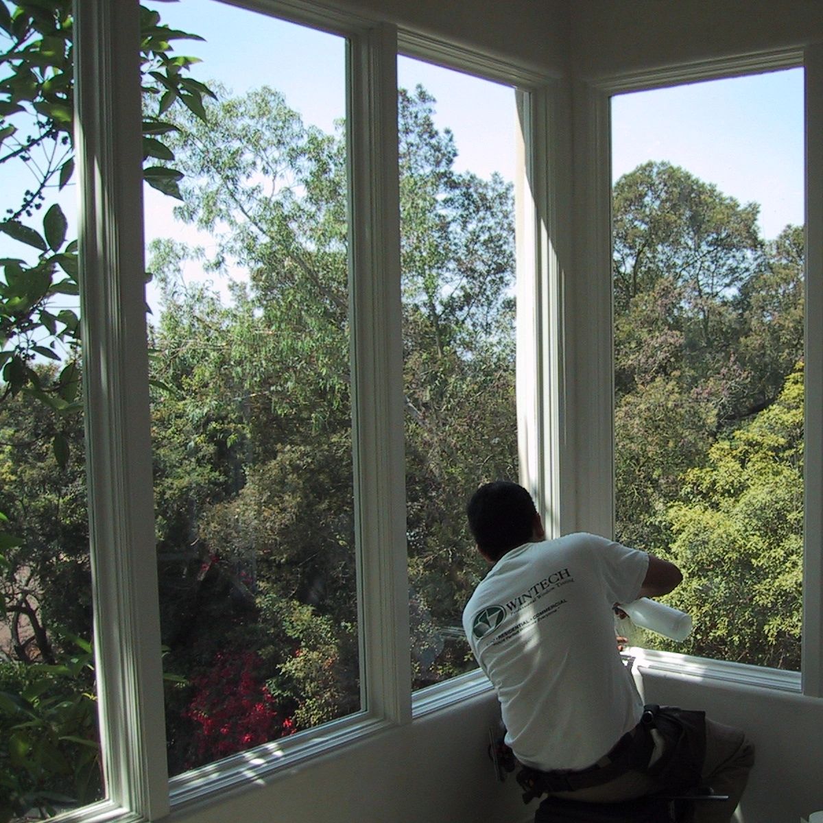 Person cleaning large windows overlooking trees.