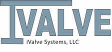 iValve Systems, LLC
