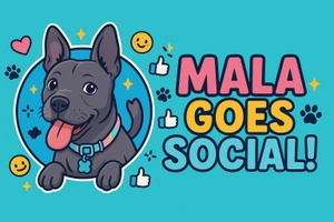 Mala Goes Social