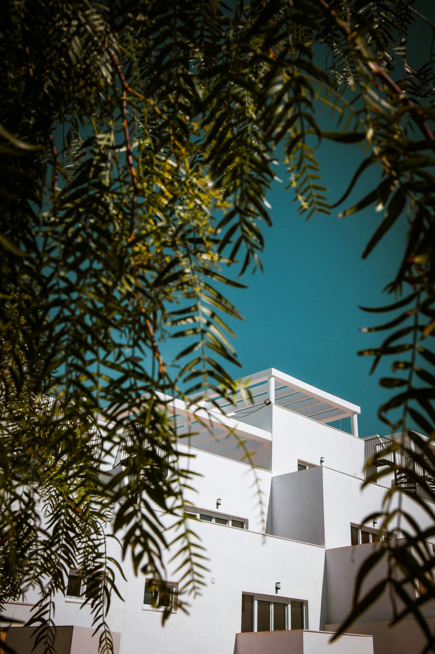 Contemporary Mansion