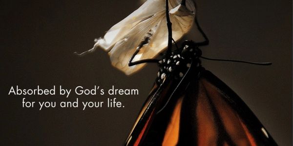 Close-up of a butterfly with an inspirational quote about God's dream for life.