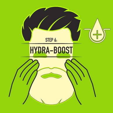 Step 6: Hydra-Boost illustration