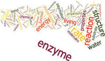 A colorful word cloud featuring terms related to biology and chemistry.