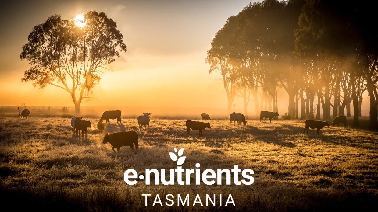 enutrients Tasmania grass fed beef collagen 