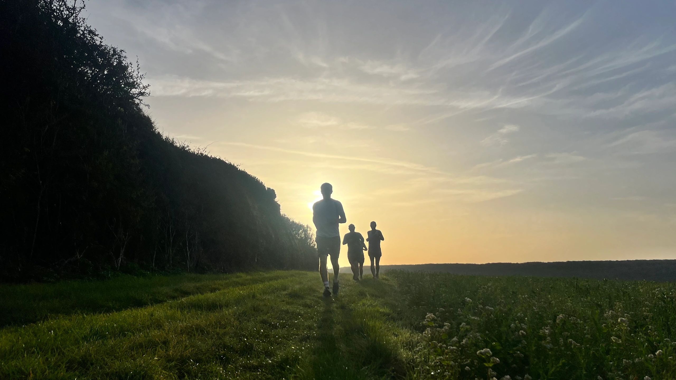 Image for The Rathfinny Half Marathon
