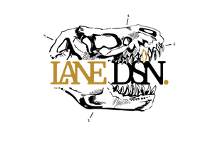 LaneDsn