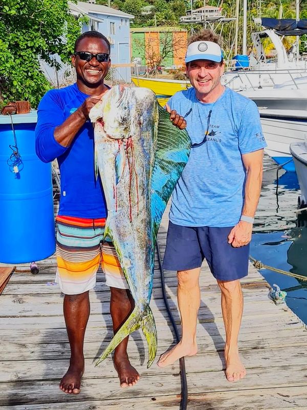 Nice Dorado
