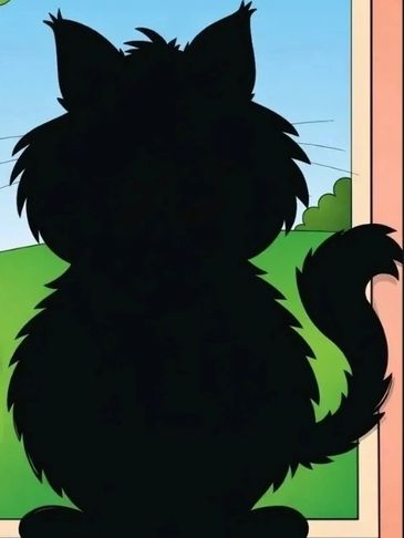 Silhouette of a fluffy cat looking out a window.