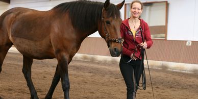 Bodenarbeit in der Akademischen Reitkunst