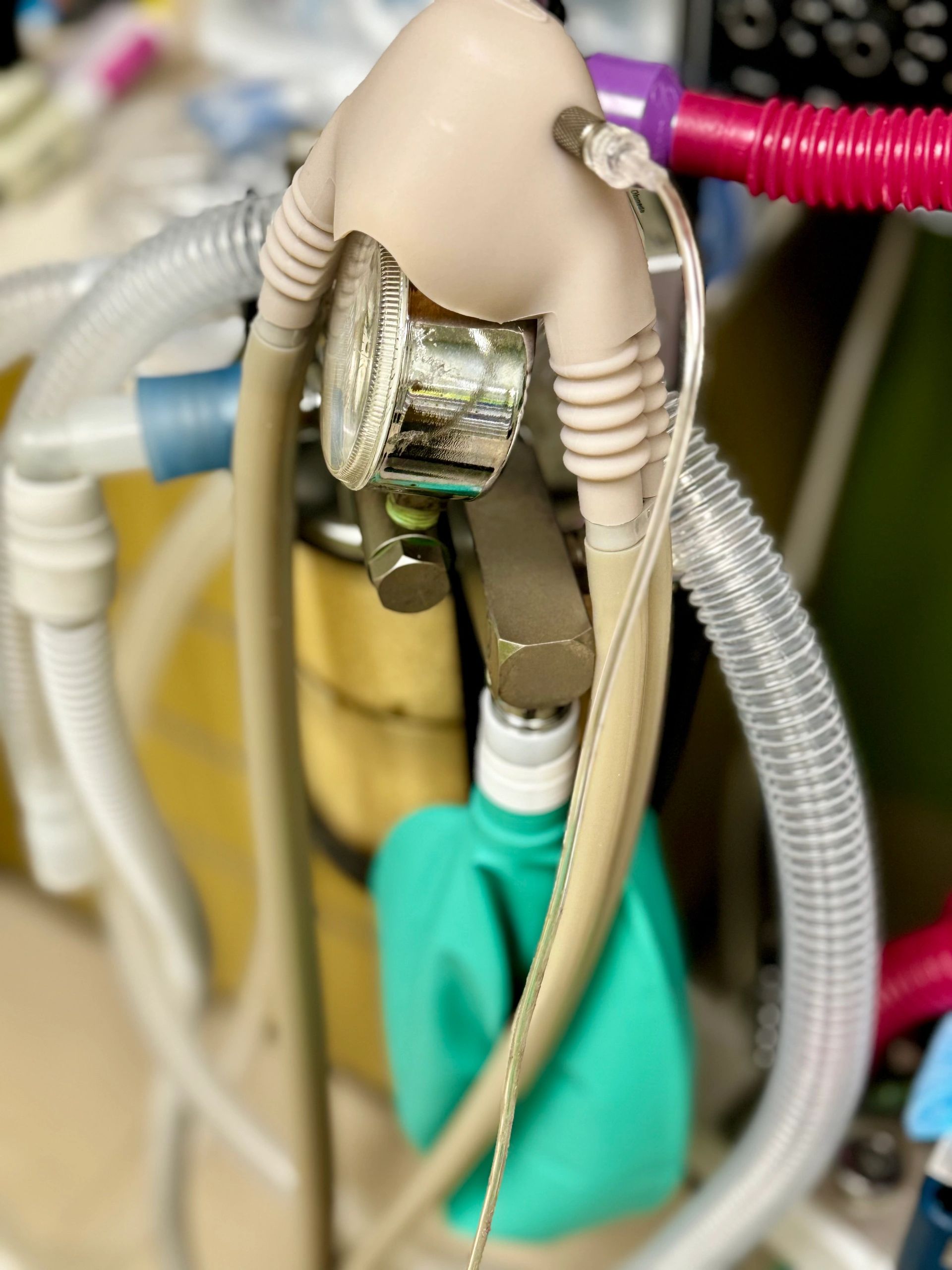 DENTAL SEDATION Oral Moderate Certification Course, Nitrous Oxide